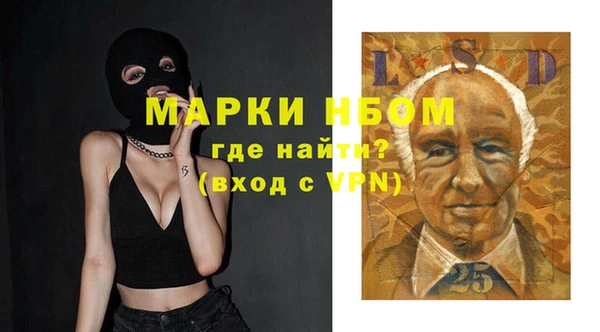 мдпв Карпинск