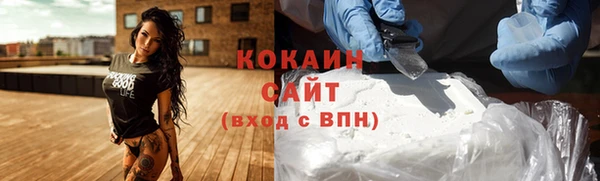 мдпв Карпинск