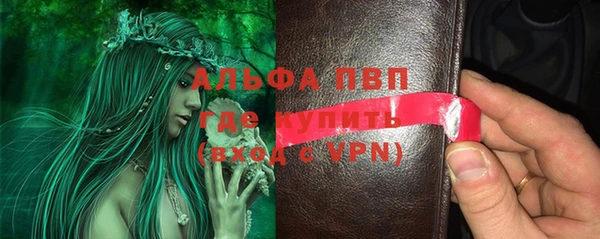 мдпв Карпинск
