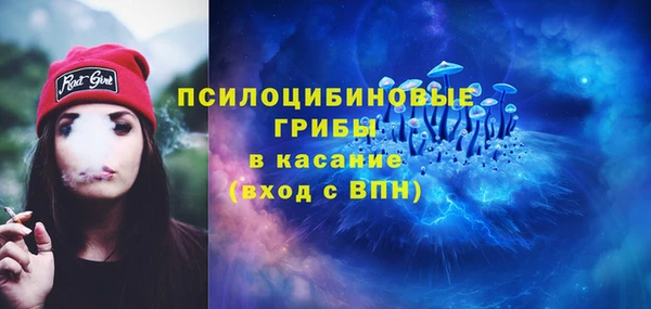 мдпв Карпинск