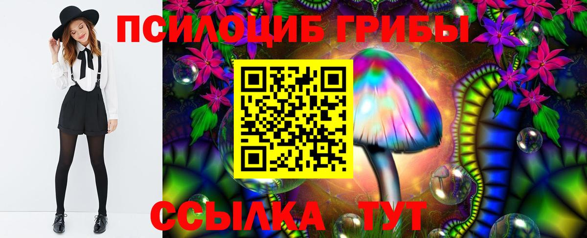 Тулун  Галлюциногенные грибы Psilocybine cubensis  Псилоцибиновые грибы прущие грибы  Вход с VPN 